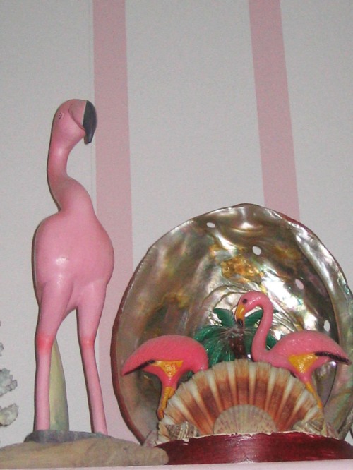 Sea shell, flamingo, Florida kitsch